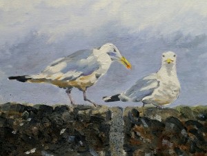 Seagulls