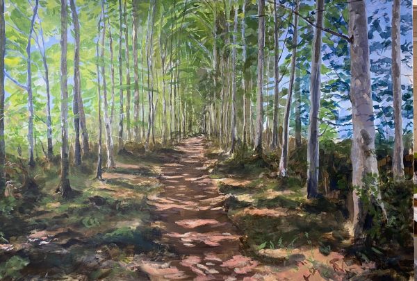 trees_496545796_10161942735527955_3524300646667639070_n